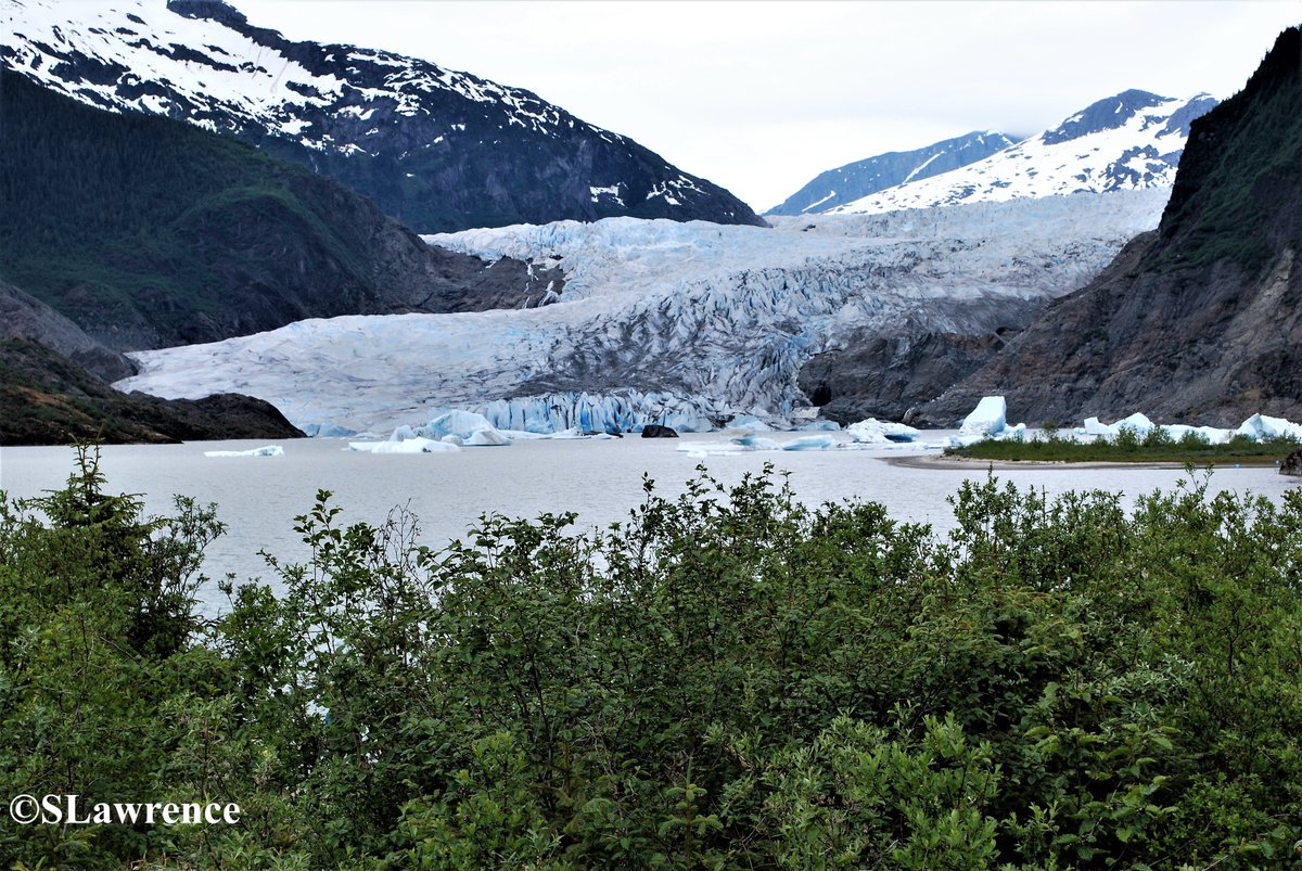 RocDrAdventures's tweet photo. Mendenhall Glacier @MendGlacierUSFS near #Juneau #Alaska for the #glaciology experts. Spot the #Seracs, #IceFace, #Crevasses & #Trimline? Check out the termination of the #medialmoraine. #Photography #glacier #glacialmilk #Geomorphology #Geology #Nature #Science #PhotoOfTheDay https://t.co/W0JRsktD9l