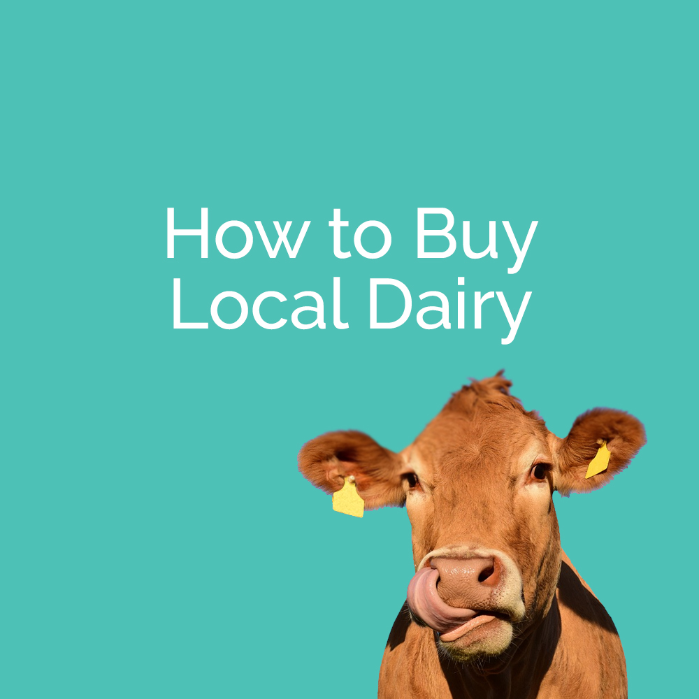 #Dairymonth is a moooooood and we're sharing easy ways to support the 63 dairy farms in <a href="/OnondagaCounty/">Onondaga County</a> onondagagrown.com/dairy/