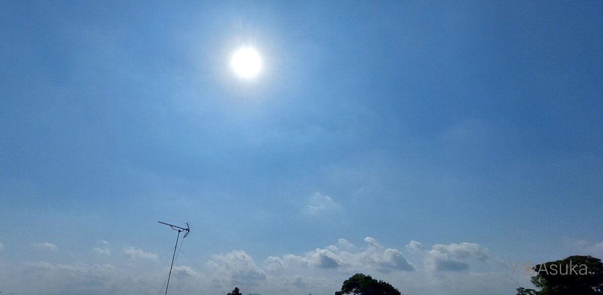 yumeasutw's tweet photo. #青空 にお日様燦々☀️穏やかな木曜日の朝💙
#四つ葉 が特徴で小花の #オキザリス 🍀

予想最高/最低気温🌡️28℃/15℃
晴れ時々雨☀️/☔
お洗濯日和👕👖の汗ばむ陽気😵💦夕方以降は俄か雨に御用心⛈️

#空の名前
#天気の図鑑 #雲友
#積雲
#ラッキークローバー
#庭花 #花 #Flower
#a2022 #a0602 #a202206 https://t.co/orx8BeDepe