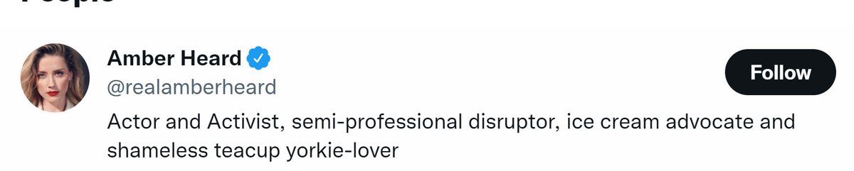 MarsHollygarden's tweet photo. @MichaelRapaport - Amber Turd calling herself a "semi-professional disruptor" is the real crime.  Ain't no amateurs here............... #disruptivebehaviour https://t.co/lzjd0E1cr5
