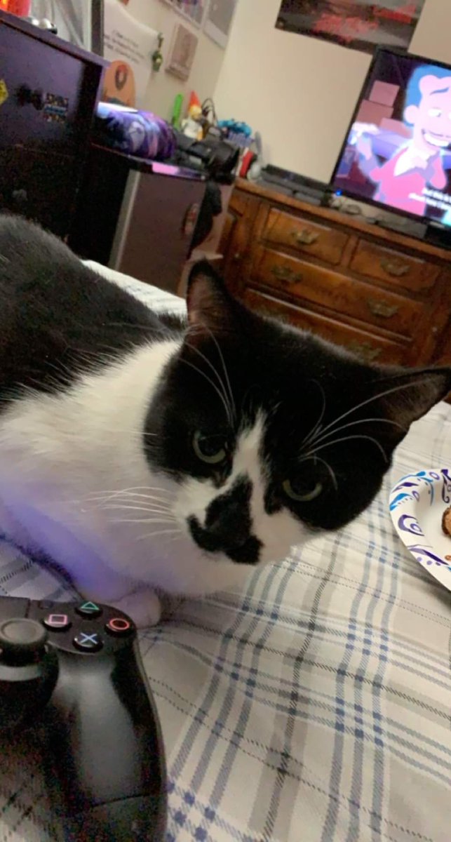 Reverend Campbell Stickland tweet media