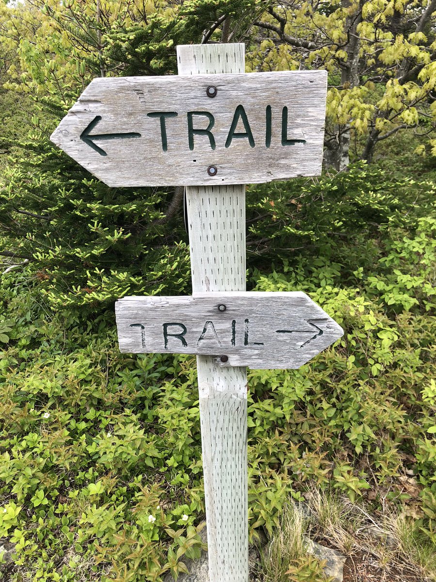 jonathan_riley's tweet photo. Spent #GlobalRunningDay2022 on the Cape Mabou Highlands trails, training and scouting for #capes100 #ultrarunning (thank you @CanadasLifeline and my hematology/ oncology staff for giving me a second lease on life #nhl #aintwastingit) #iamrunning @tsmithbpr https://t.co/oEr3DVw3Mw