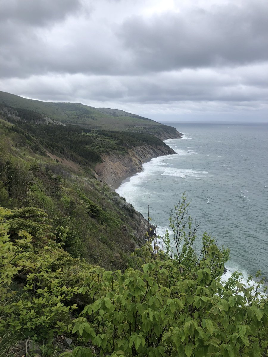 jonathan_riley's tweet photo. Spent #GlobalRunningDay2022 on the Cape Mabou Highlands trails, training and scouting for #capes100 #ultrarunning (thank you @CanadasLifeline and my hematology/ oncology staff for giving me a second lease on life #nhl #aintwastingit) #iamrunning @tsmithbpr https://t.co/oEr3DVw3Mw