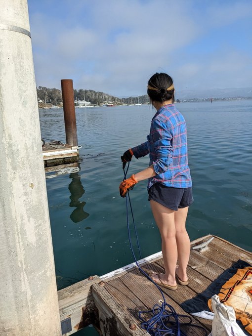 Take me magnet fishing ? https://t.co/cv159cIJ3n