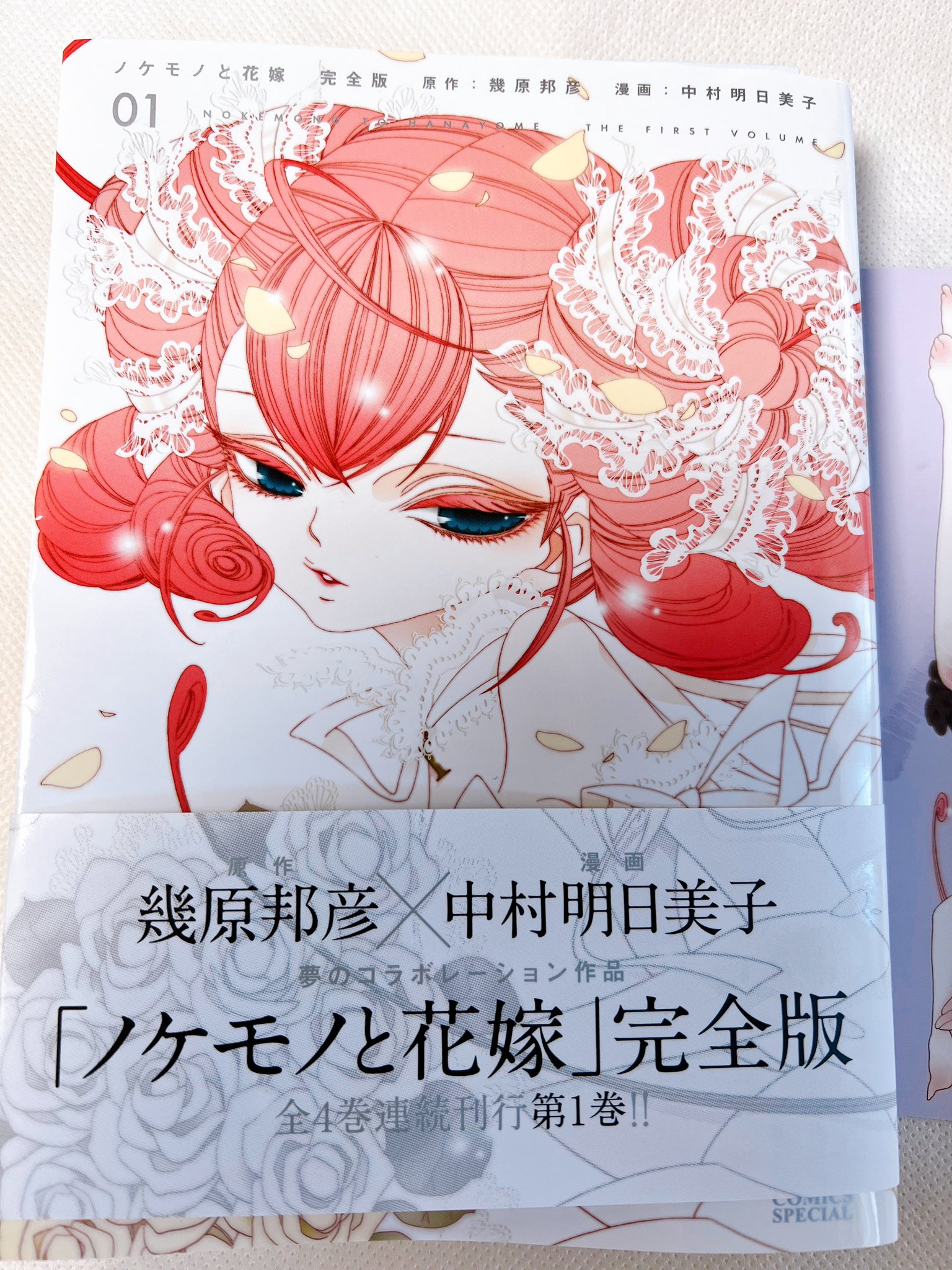 ノケモノと花嫁 Twitter Search Twitter