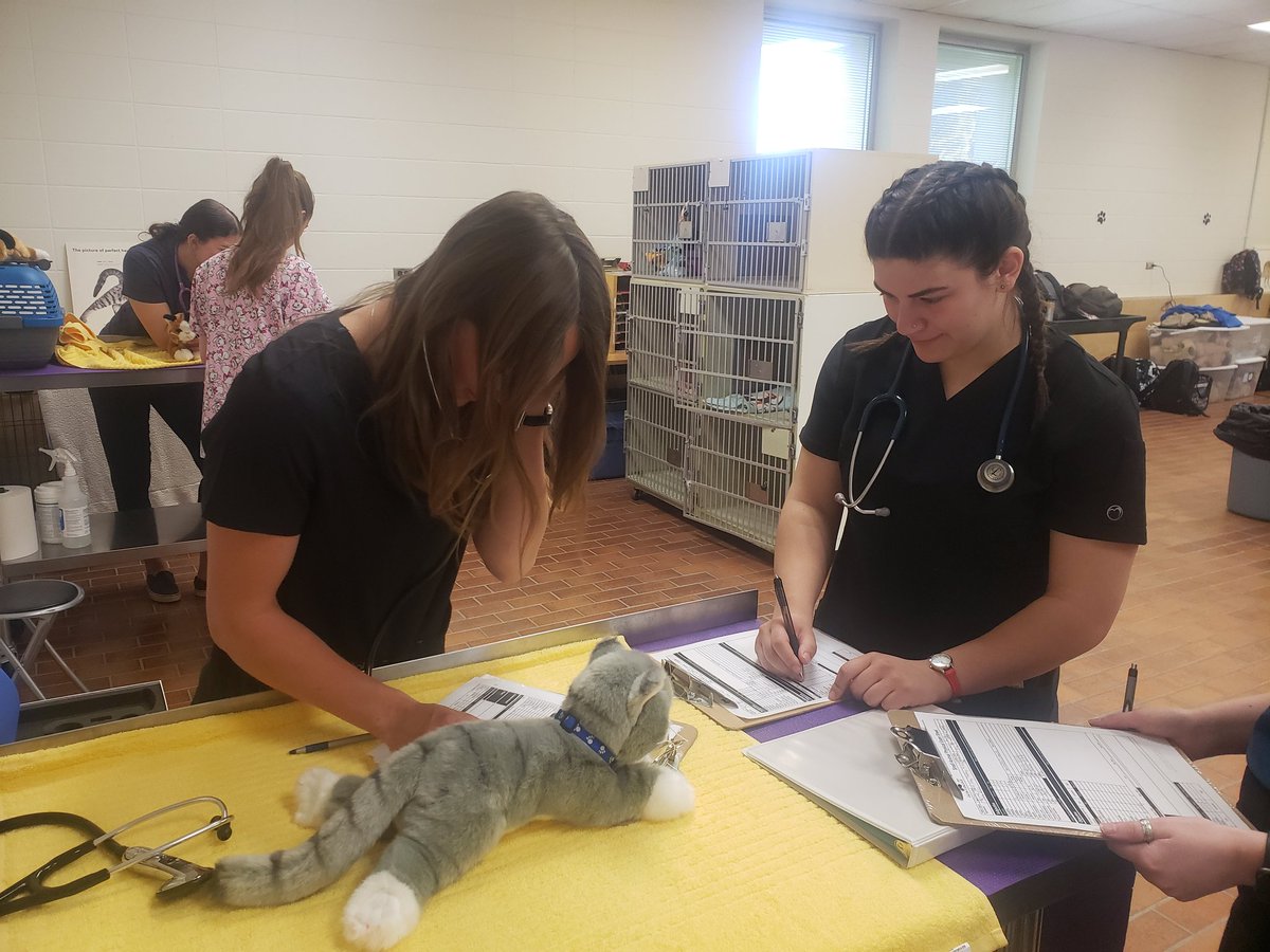 CloustonMisty's tweet photo. Had a great day with the AHT students taking important vitals on our dog &amp; cat model simulators!   Heart rates and smiles all around 🐶❤😁 https://t.co/CABeipBHT9
