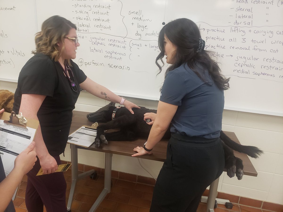 CloustonMisty's tweet photo. Had a great day with the AHT students taking important vitals on our dog &amp; cat model simulators!   Heart rates and smiles all around 🐶❤😁 https://t.co/CABeipBHT9
