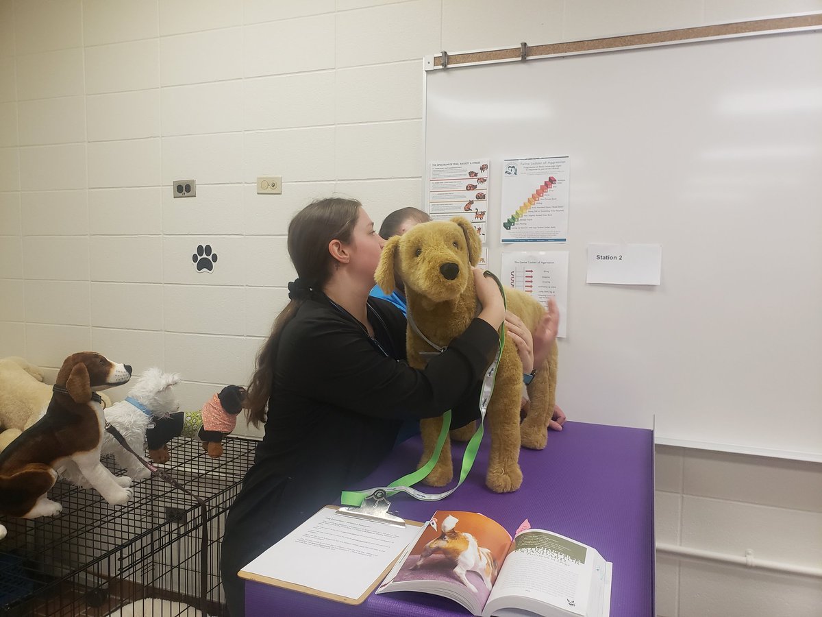 CloustonMisty's tweet photo. Had a great day with the AHT students taking important vitals on our dog &amp; cat model simulators!   Heart rates and smiles all around 🐶❤😁 https://t.co/CABeipBHT9
