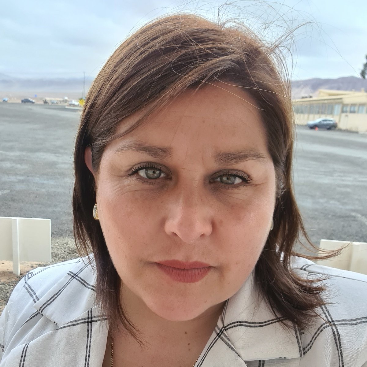 Daniela Vecchiola Riquelme tweet media