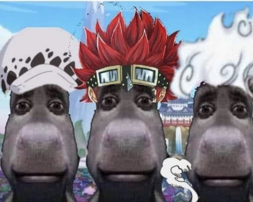 sicnarf0526's tweet photo. After you awaken your fruit defeated two Yonkous liberated a country,and momo said he won’t open the country #ONEPIECE1051 https://t.co/J9USeeR3Fw