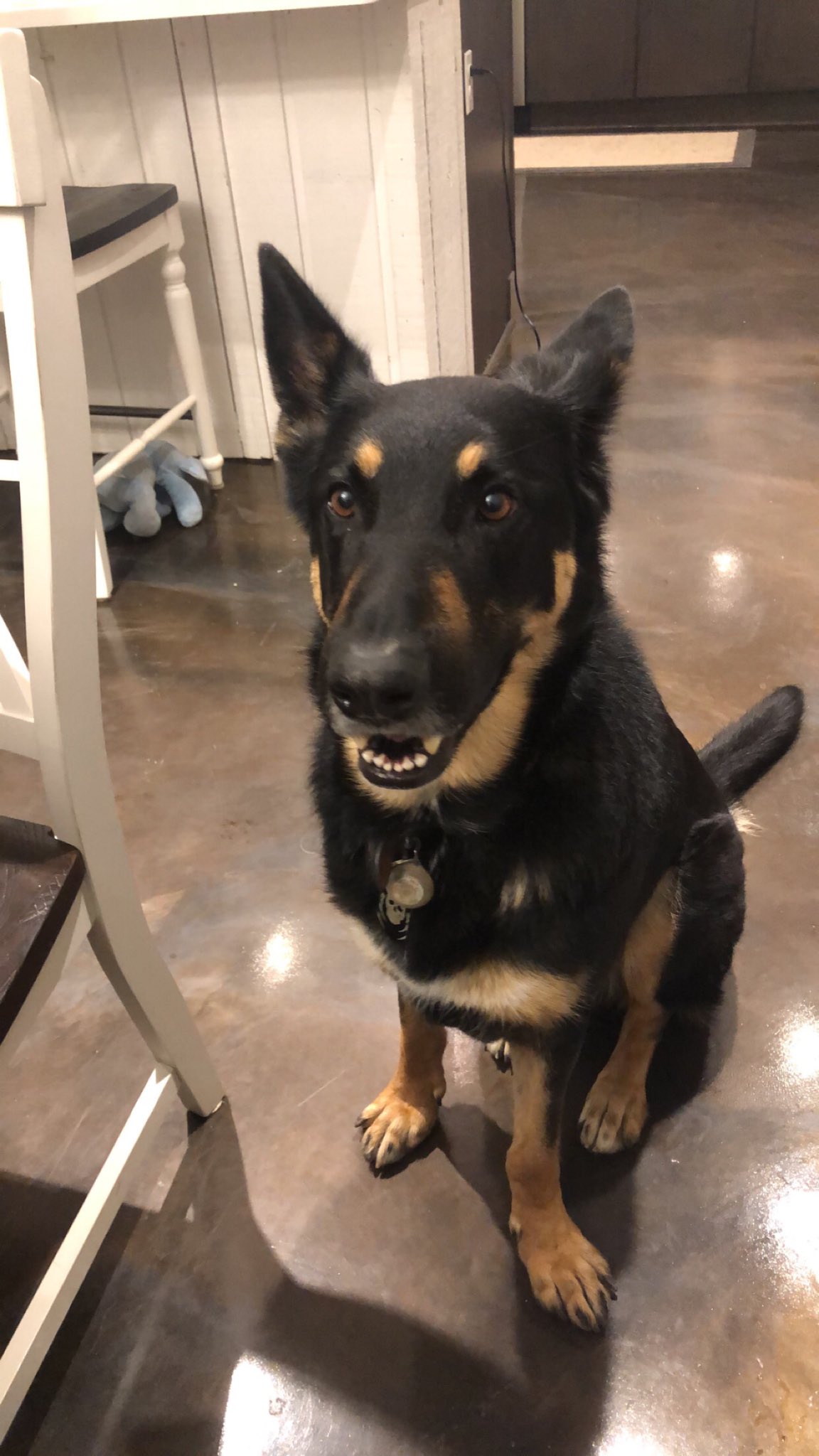    Happy Birthday to the goodest boy    