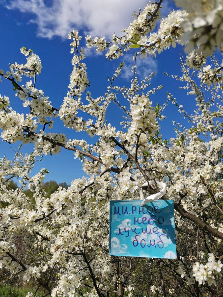dkisselev's tweet photo. Roman Super https://t.co/alxmgq0fgg

"Killing a man in defense of an idea is not defending an idea; it is killing a man." - Jean-Luc Godard

https://t.co/LDZl5V9HaY

 A peaceful sky is better than bombs

#antiwar #RussiaUkraineWar #StreetArt https://t.co/EXy9GkeX3A