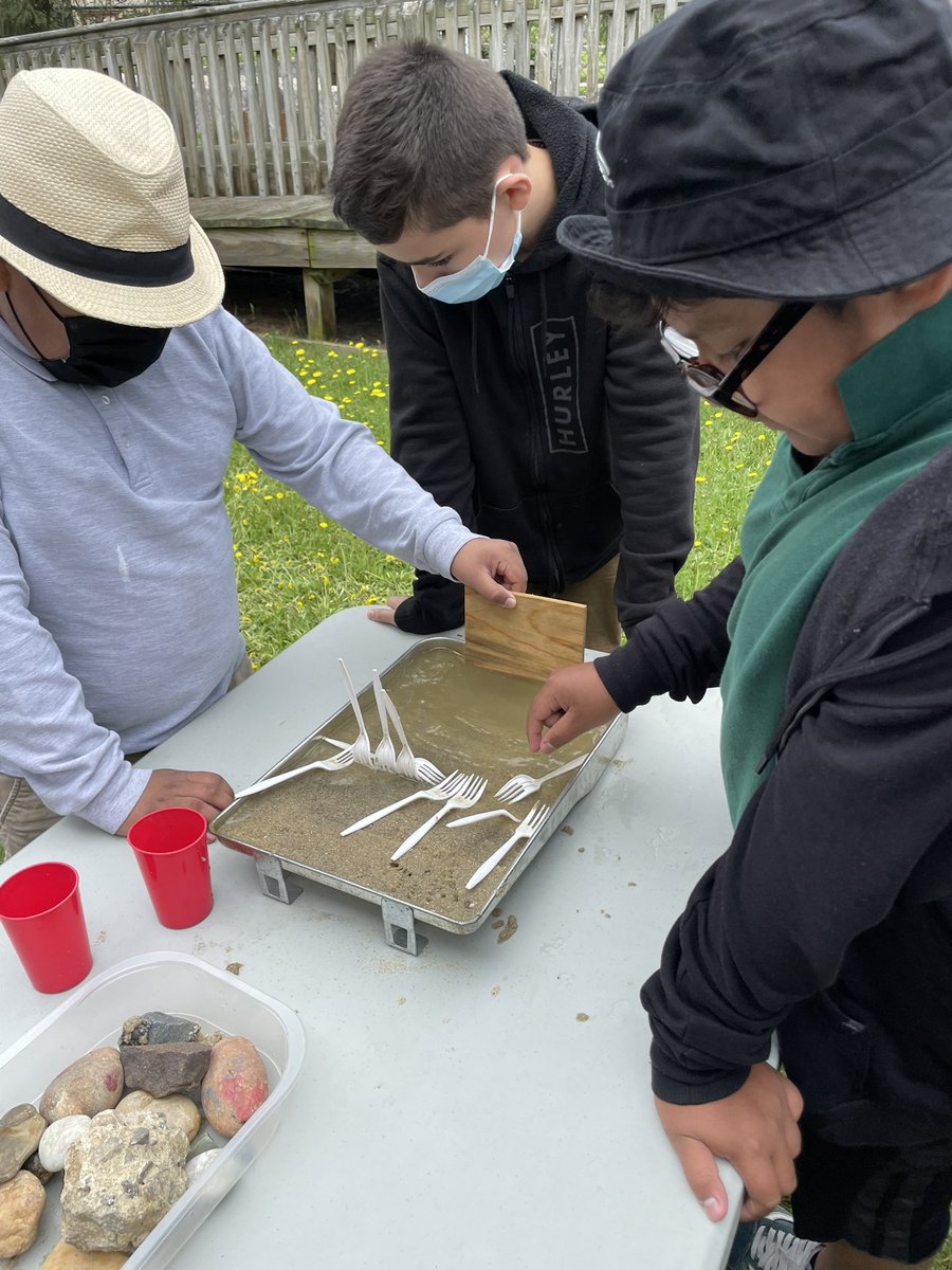MsHochstaedter's tweet photo. Great trip to Seven Presidents today working as scientists, learning about erosion and identifying turtles and shells!🐚🐢🦪🌊 @AmerigoSchool https://t.co/HACrg7A8Aw