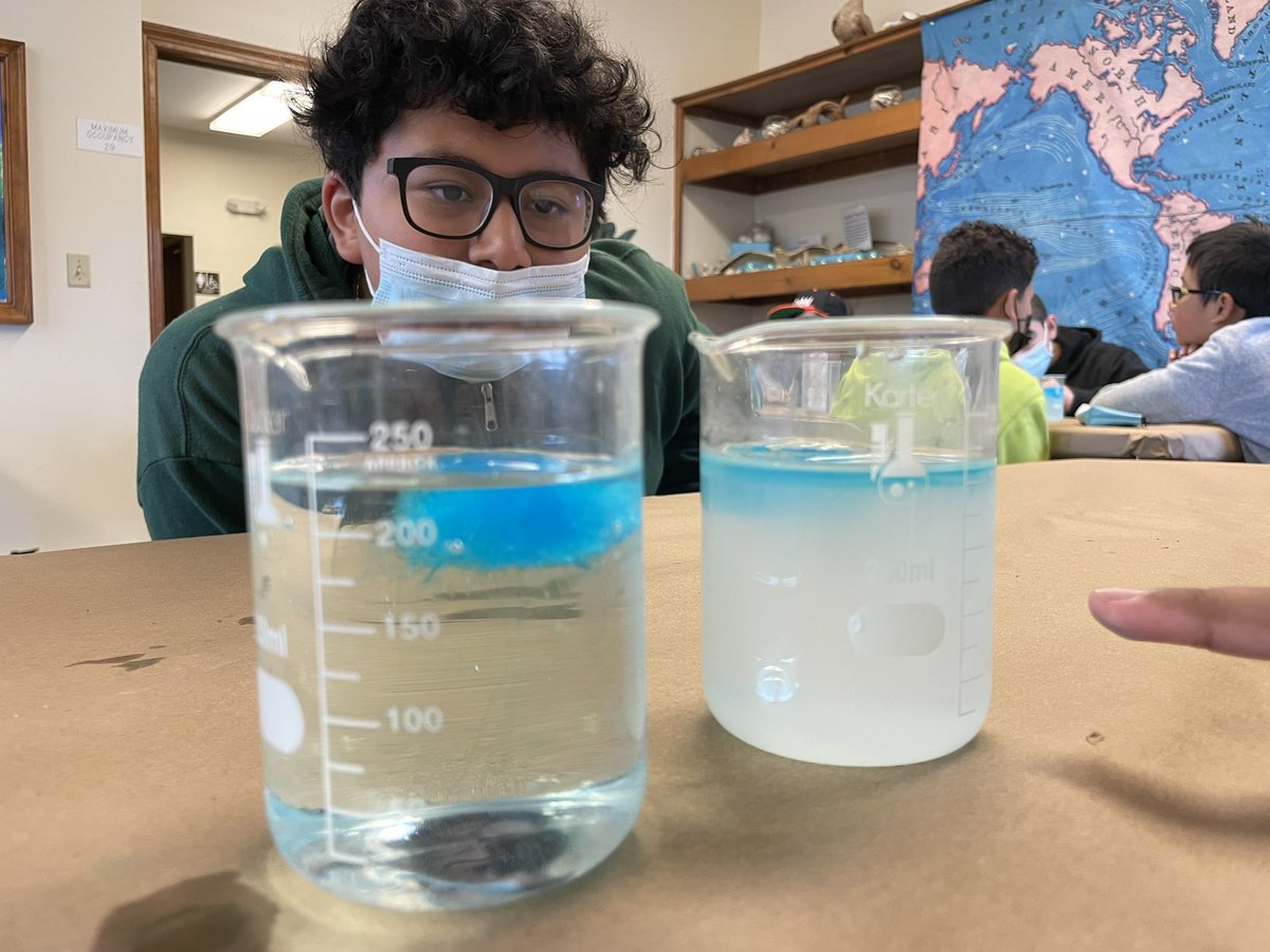 MsHochstaedter's tweet photo. Great trip to Seven Presidents today working as scientists, learning about erosion and identifying turtles and shells!🐚🐢🦪🌊 @AmerigoSchool https://t.co/HACrg7A8Aw
