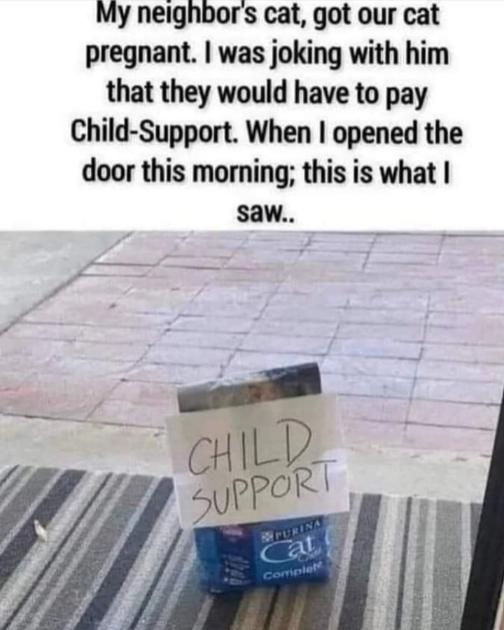 Irishbrat1966's tweet image. 