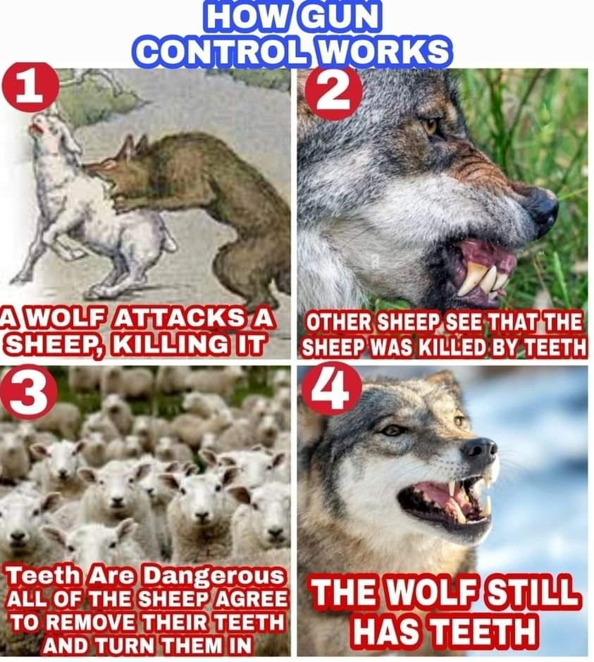 48Vidalia's tweet photo. @blakec5 @FoxNews https://t.co/LZHnmq4zNx
