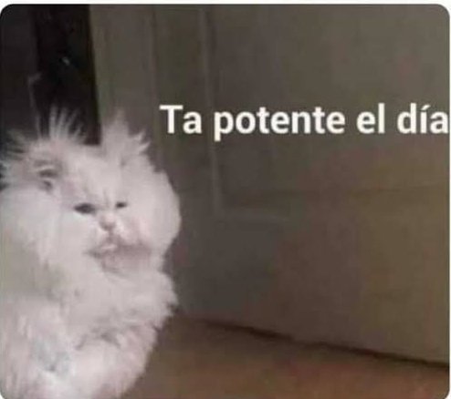 hannibalcoronel's tweet photo. JOHNNY DEEP GANA EL JUICIO POR DIFAMACIÓN, A SHAKIRA DICEN QUÉ LE PUSIERON EL CUERNO Y YO ASÍ:
#JohnnyDepp #Shakira https://t.co/Q8LqCqONCd