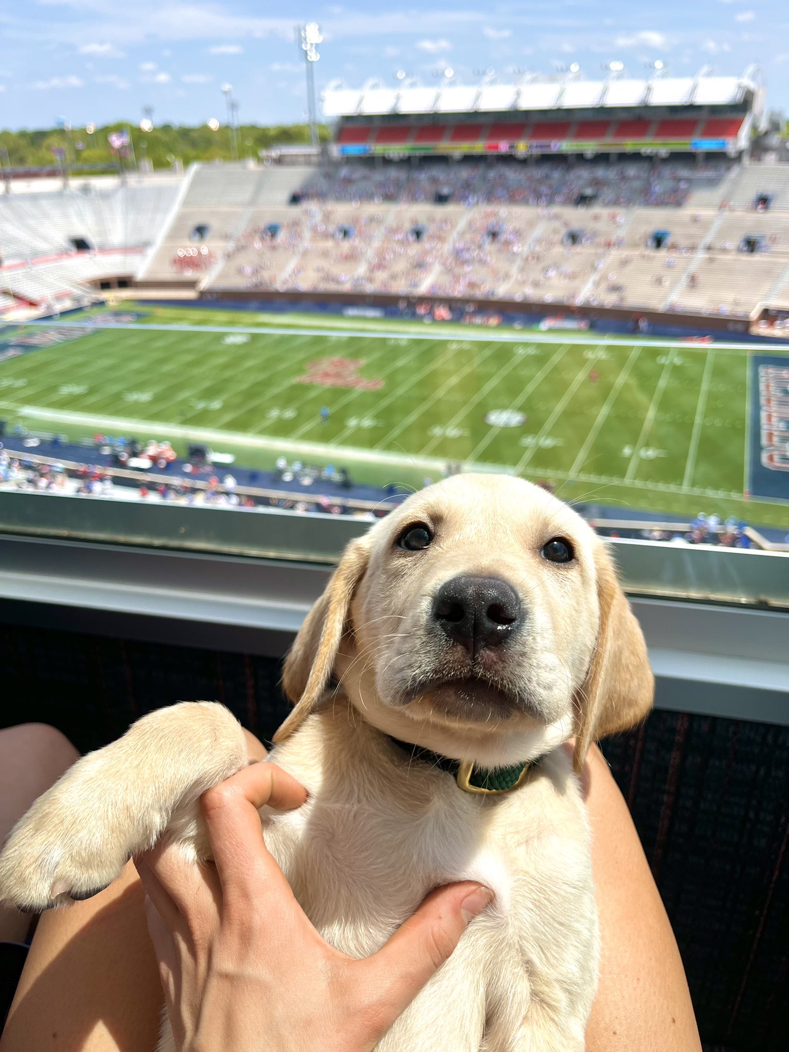 Juice Kiffin on Twitter "Thought I looked cute so I posted this 