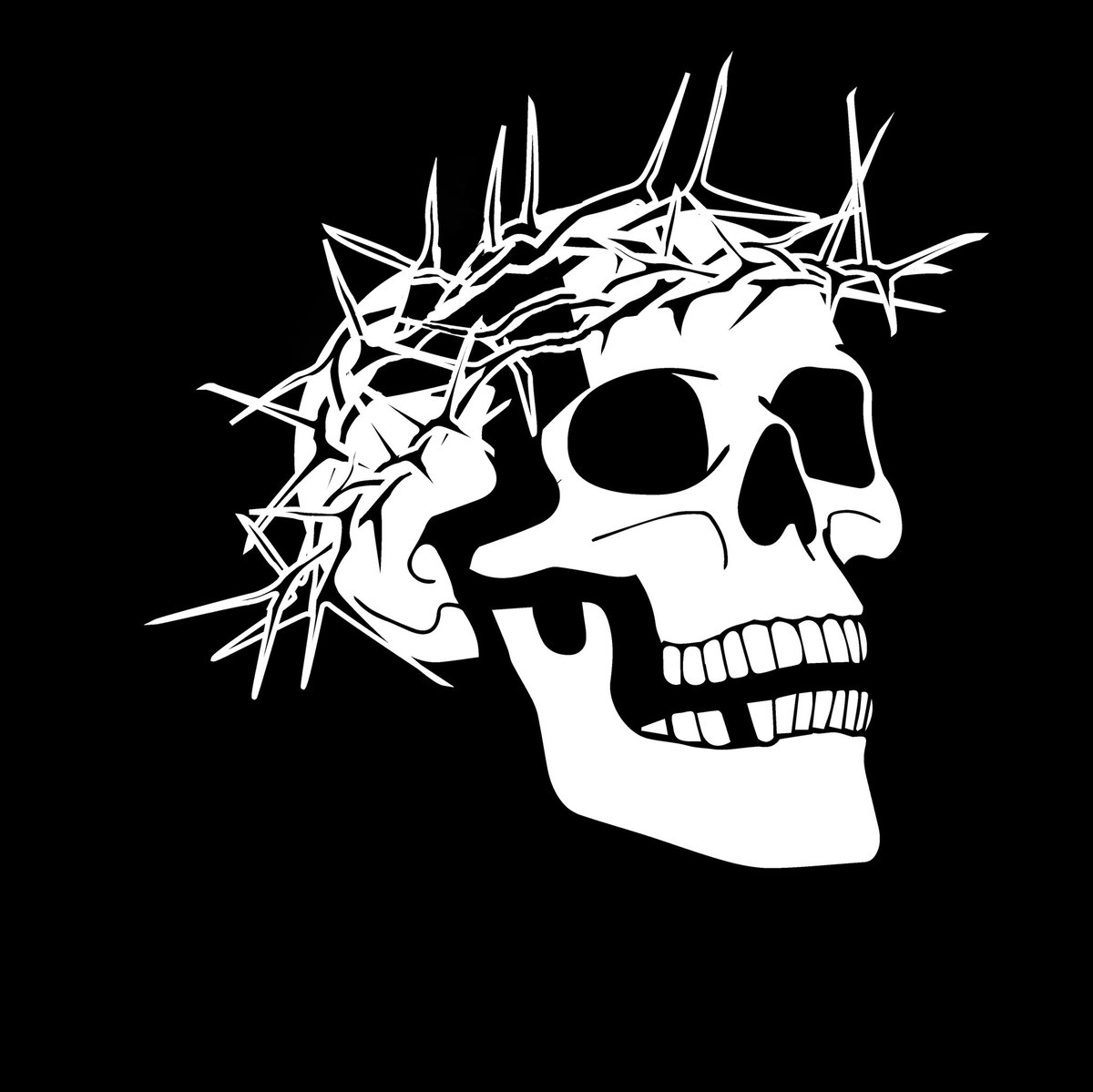 Disarticulated Skullys tweet media