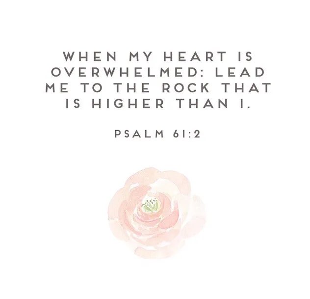 When we feel heartache and emotional exhaustion, we can turn to Him with our sadness trusting that He will restore us with strength and peace…💕🙏🏻