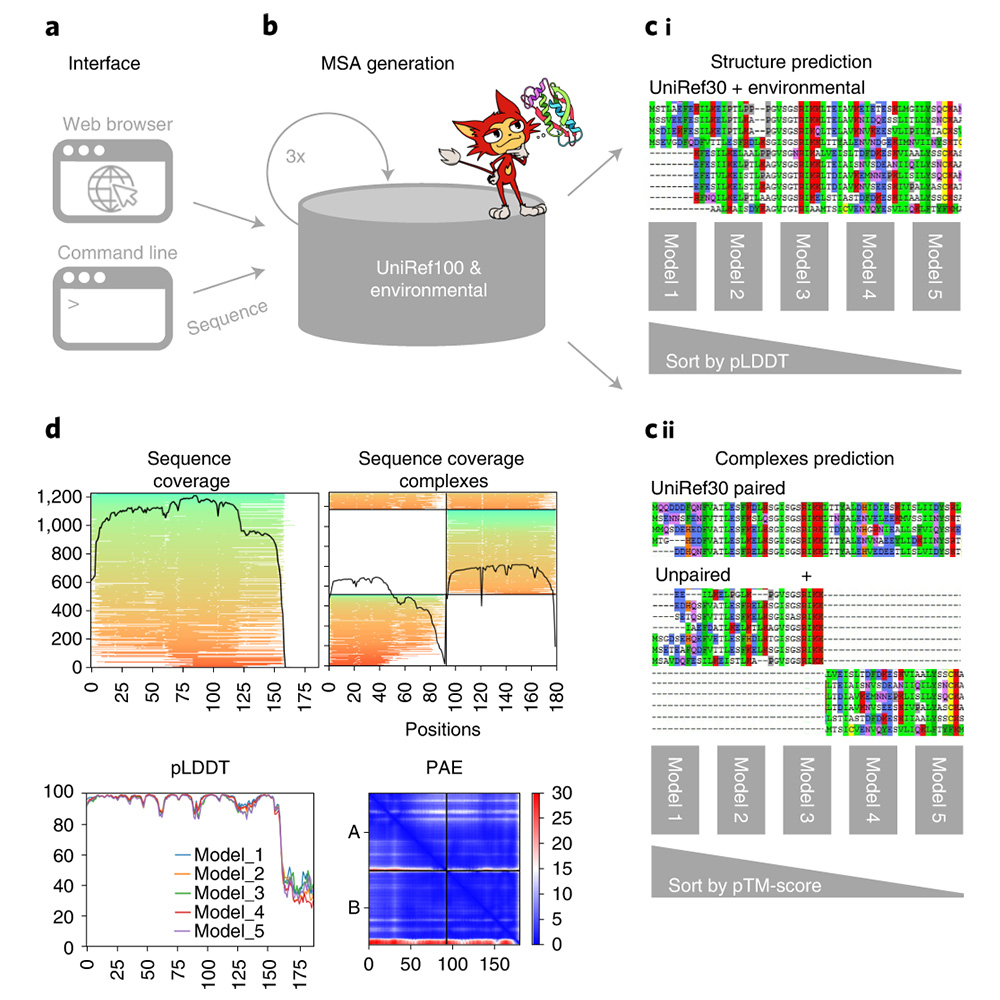 A paper published in <a href="/naturemethods/">Nature Methods</a> presents ColabFold: a free and accessible platform for protein folding that provides accelerated prediction of protein structures and complexes using AlphaFold2 or RoseTTAFold. go.nature.com/3wZl5Bu
