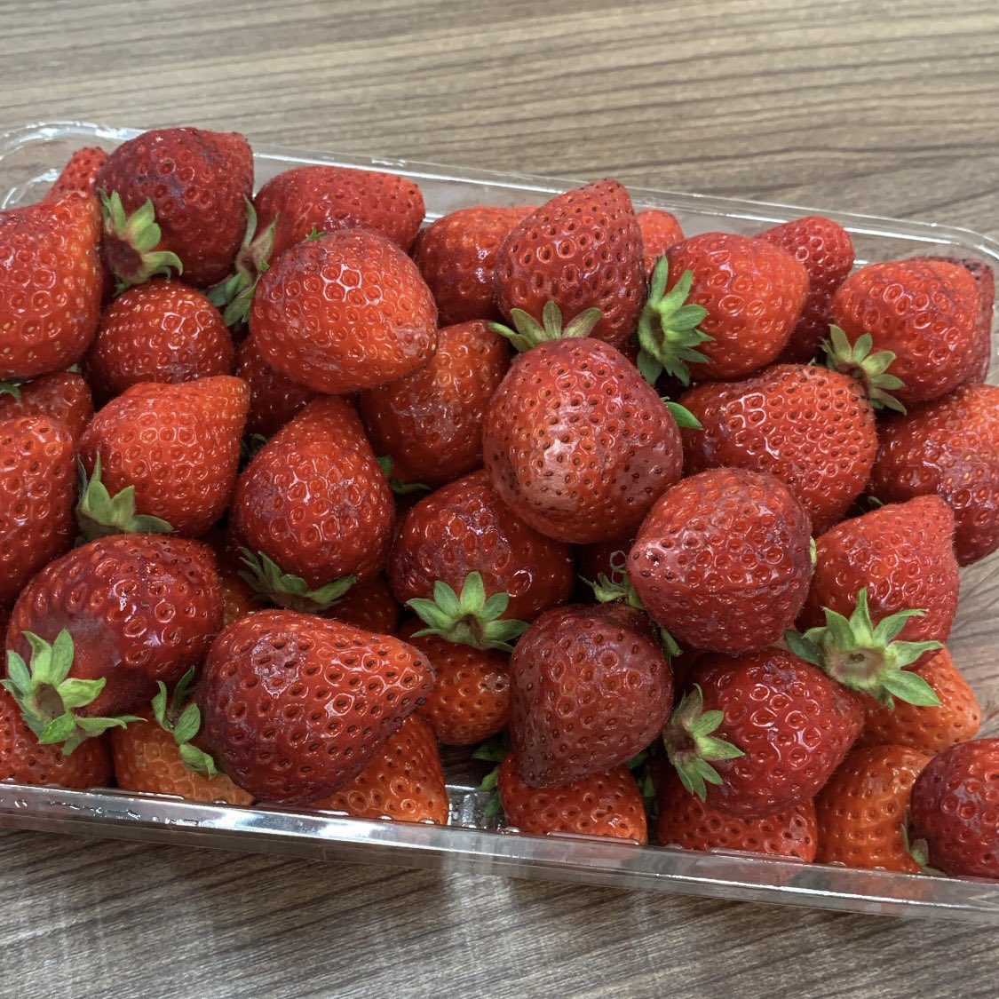 おはようございます！

とっっても甘いイチゴ🍓の差し入れを頂きました☺️☺️

この季節のイチゴにも関わらずびっくりするほど甘くて、ほっぺたほぼ落ちてました😗

これで今日の仕事頑張れるー！
ありがとうございます🥰

#企業公式相互フォロー祭り