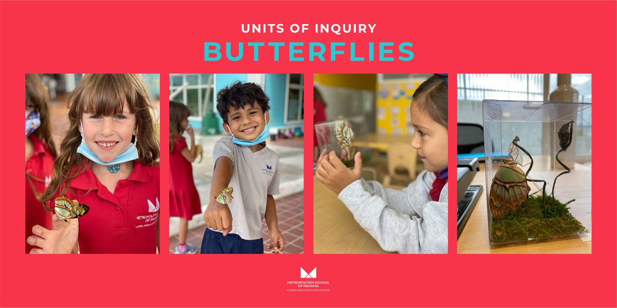 METSchoolPanama's tweet image. EC #METstudents explored and learned about butterflies as part of their Units of Inquiry.🦋
We are very proud of the deep rich conversations, learning, critical thinking & play that took place within our classroom!
#METschoolPanama #IBWorldSchool #PYP #GlobalCitizens