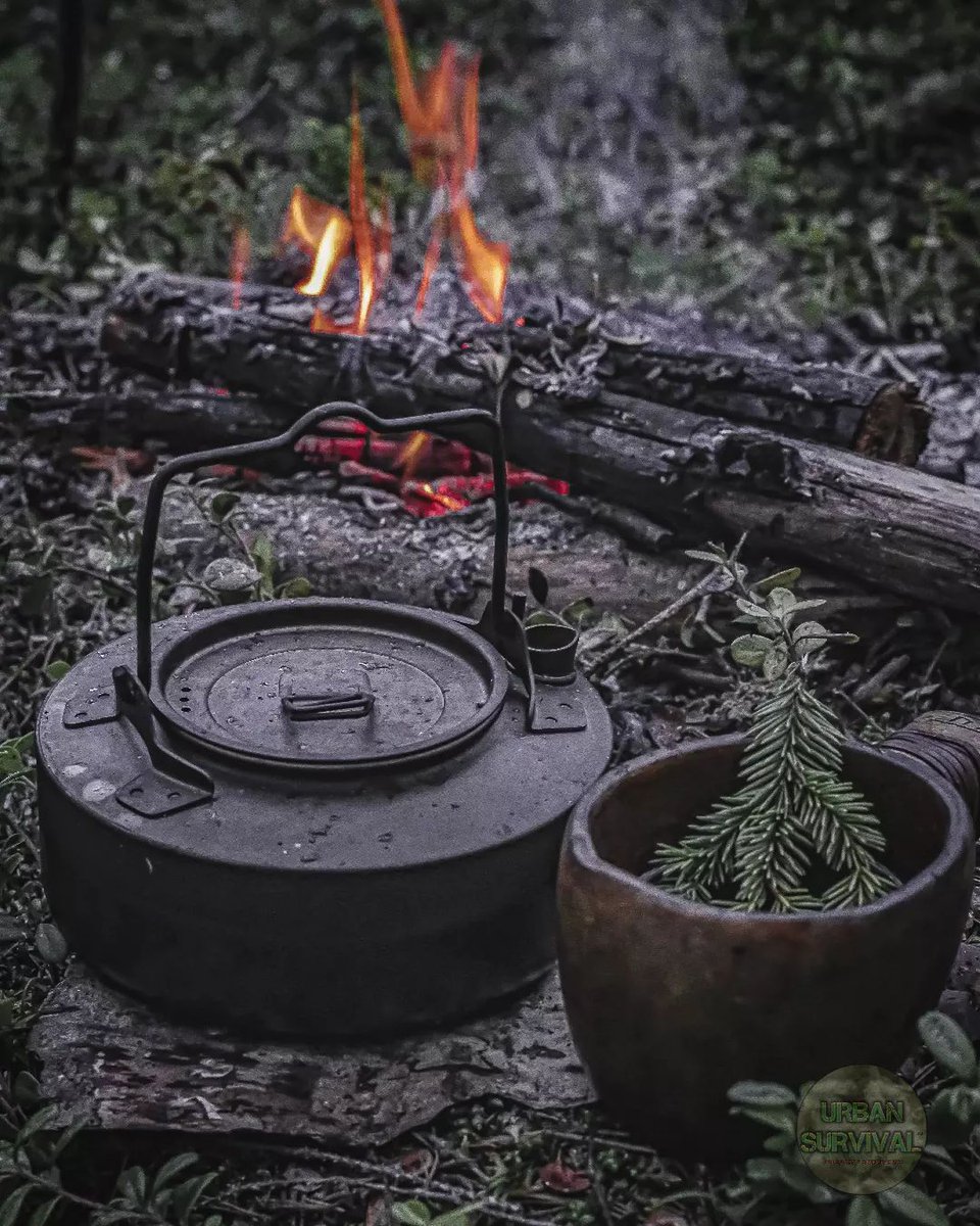 TheWorkerAnt's tweet photo. Camp, Hike, Cook, Drink, Eat, Repeat. Credits to @urban_survival_life for the lovely sight.
#overthefirecooking #titaniumgear #campinggear #titaniumoutdoorrgear #makingfire #bushcraftfood https://t.co/ZzNEhCxEjH