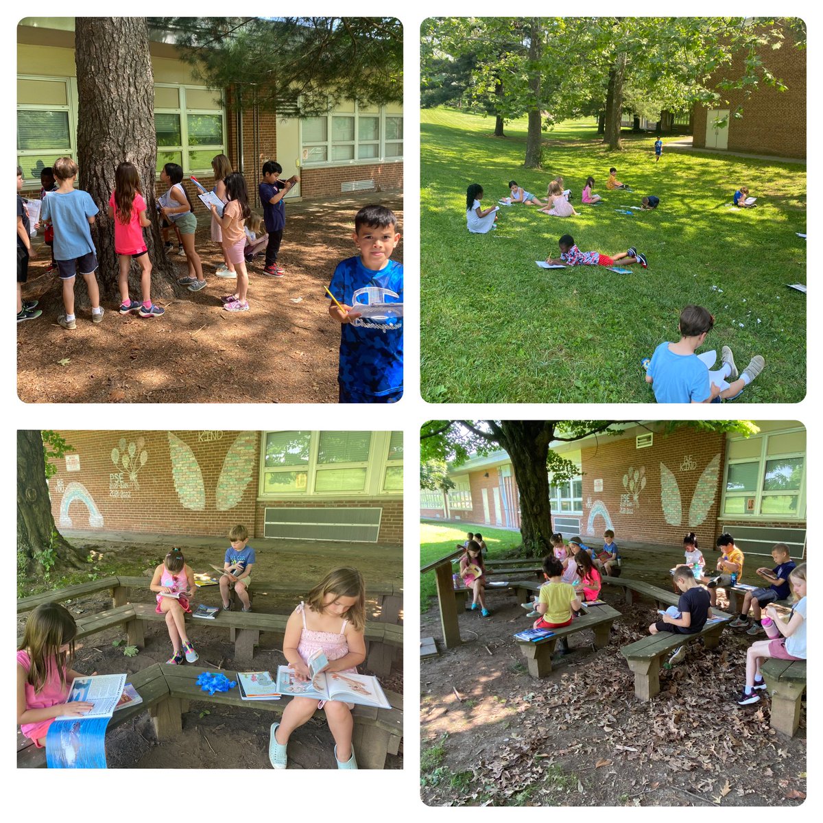 Rachel Noto tweet media