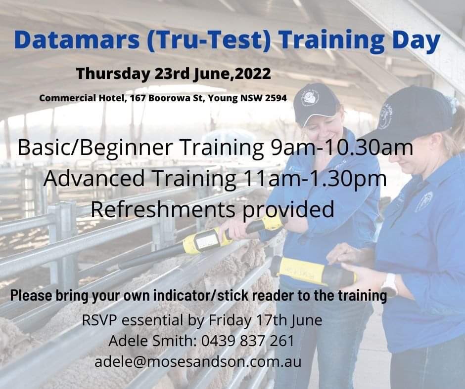 Moseswool's tweet image. Moses &amp;amp; Son in conjunction with @Tru_Test are holding a training day in Young NSW on Thursday 23rd June 2022. 
Registration essential. @AdeleOffley