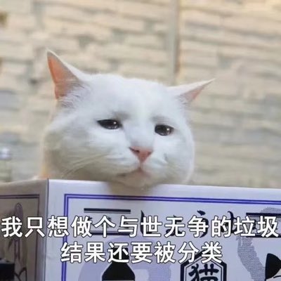 simple960610's tweet photo. #新头像 https://t.co/ZOZol35v34