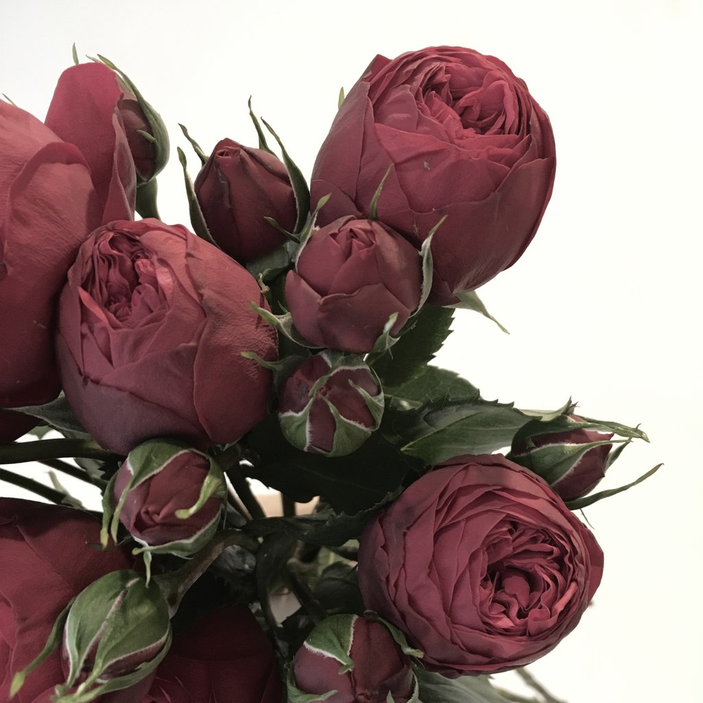 akikokia_flo's tweet photo. https://t.co/V3nubxoZsy
