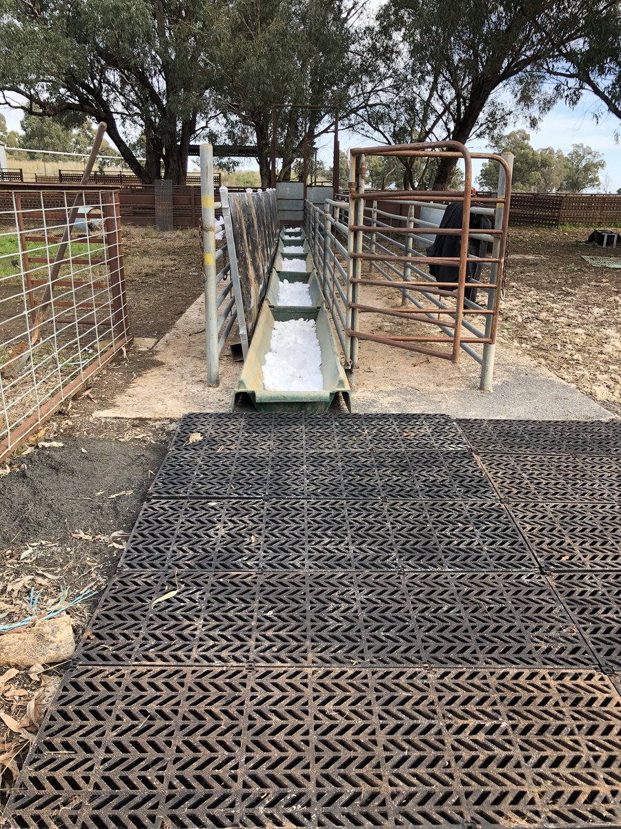 Clint Neville tweet media