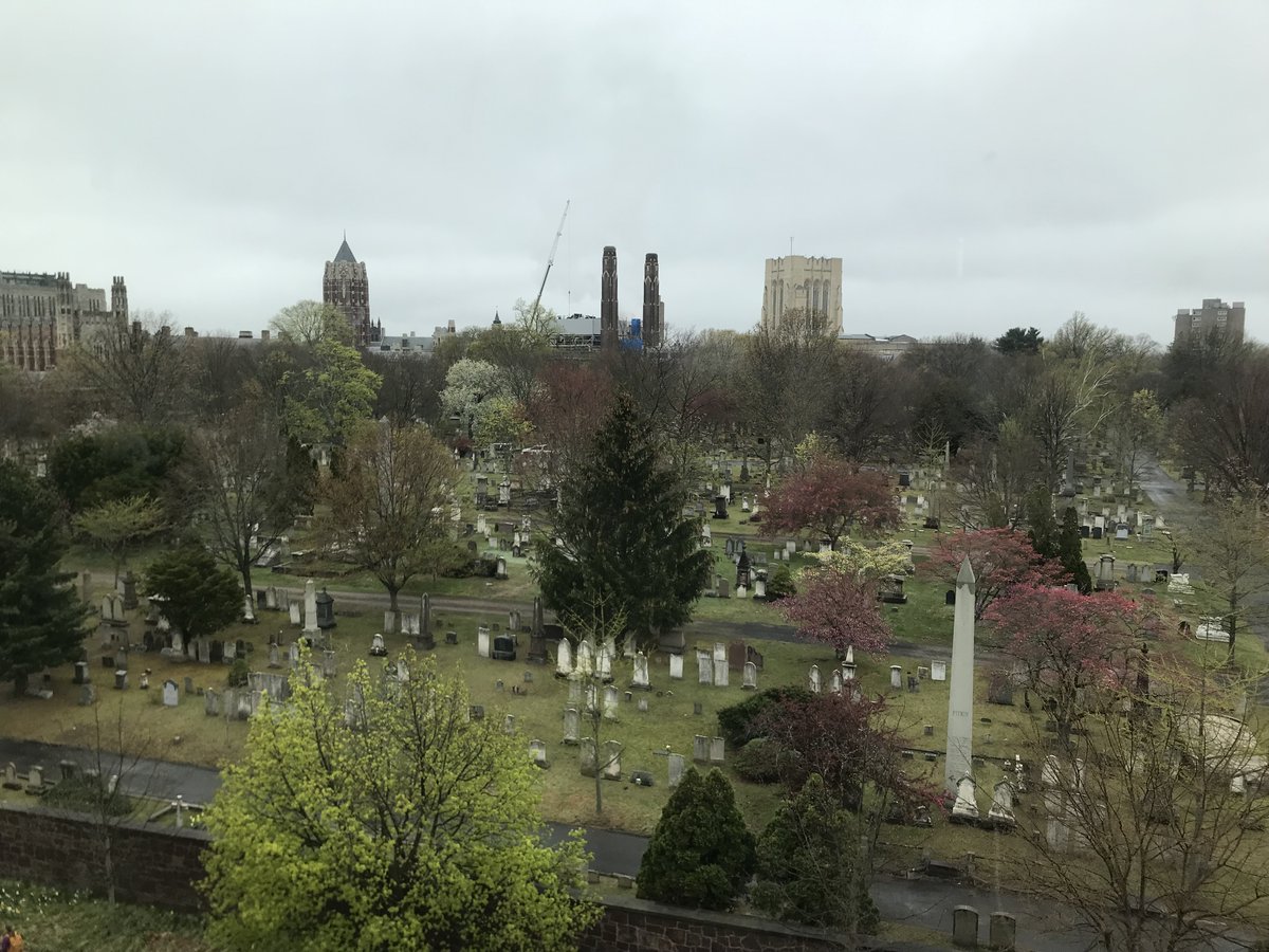 Shades of <a href="/Yale/">Yale University</a> #NewHaven