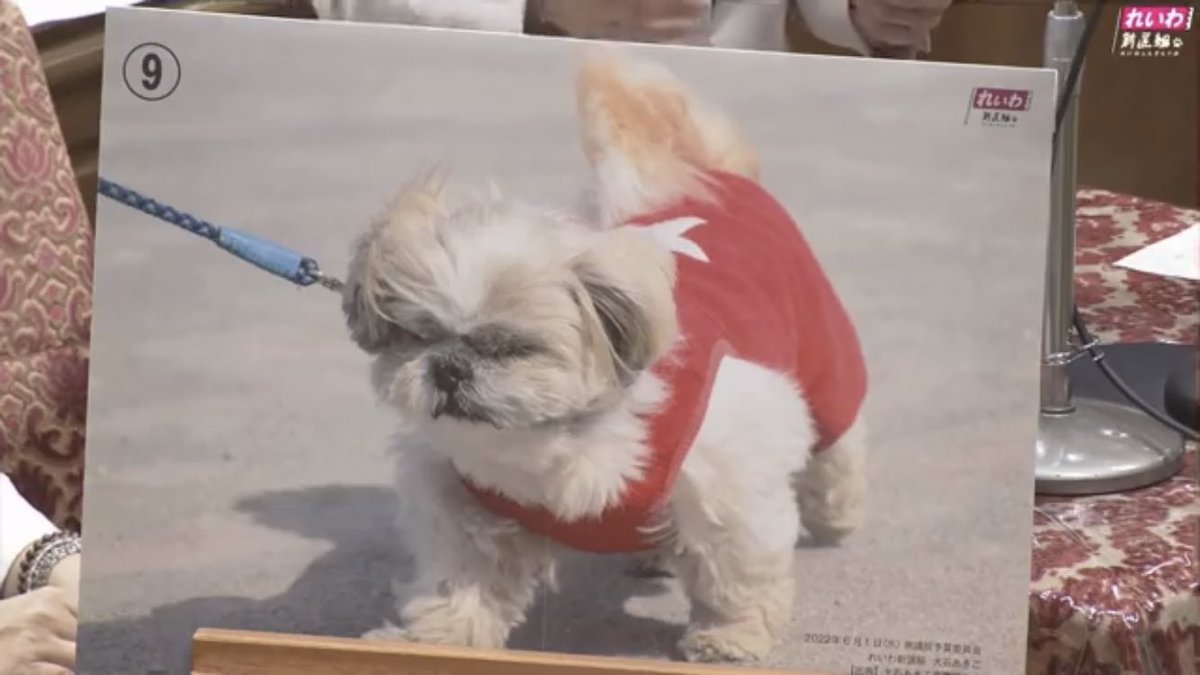 れいわ 総理は資本家の犬ぅーーーー 共産党 同類だと思われたくない Togetter れいわ 総理は資本家の犬ぅーーーー 共産党 同類だと思われたくない Togetter