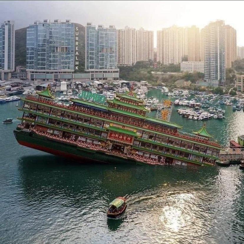 Goose Lee 💙💛 tweet media