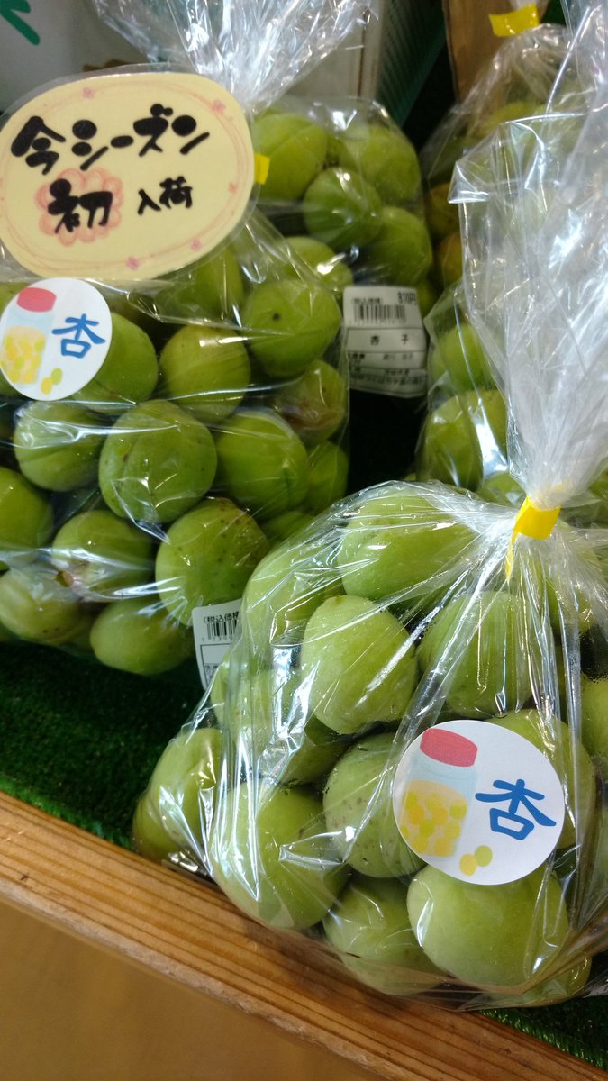 tsukubaham's tweet photo. おはようございます☀
筑波ハム直売所つくば陣屋、開店いたしました‼️
10時〜17時までの営業です。
今季、杏初入荷しました✨
是非お立ち寄りくださいませ😊
#筑波ハム #つくば #茨城県 #つくば陣屋 #直売所 #新鮮野菜 #お肉 #豚肉 #果物 #杏 #スイカ #とうもろこし #ブロッコリー #じゃがいも https://t.co/PuQ0spFpTV