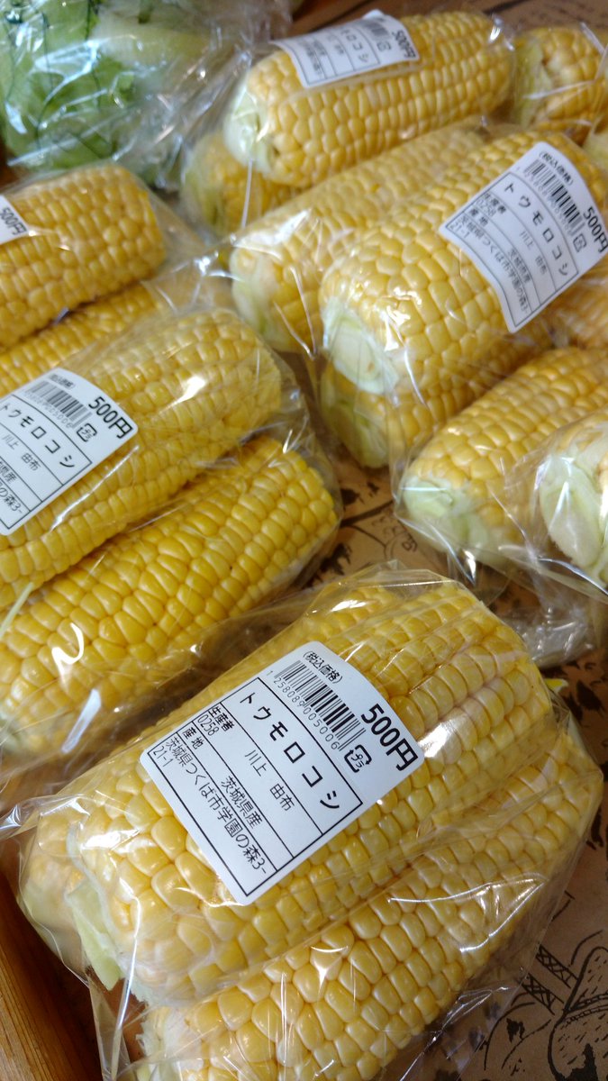 tsukubaham's tweet photo. おはようございます☀
筑波ハム直売所つくば陣屋、開店いたしました‼️
10時〜17時までの営業です。
今季、杏初入荷しました✨
是非お立ち寄りくださいませ😊
#筑波ハム #つくば #茨城県 #つくば陣屋 #直売所 #新鮮野菜 #お肉 #豚肉 #果物 #杏 #スイカ #とうもろこし #ブロッコリー #じゃがいも https://t.co/PuQ0spFpTV