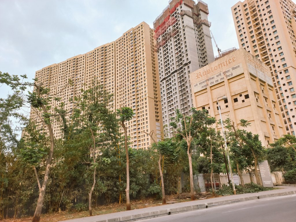 giribpai's tweet photo. Thane's Fifty'six African Tulip Trees go headless after aggressive premonsoon trimming

These 10-year trees without electrical lines above, growing peacefully &amp; safely next to a footpath lost their growing tips in May 2022.

@AUThackeray 
@OfficeofUT 
@DigiThane 
@TMCaTweetAway https://t.co/DQNohtaQ1y