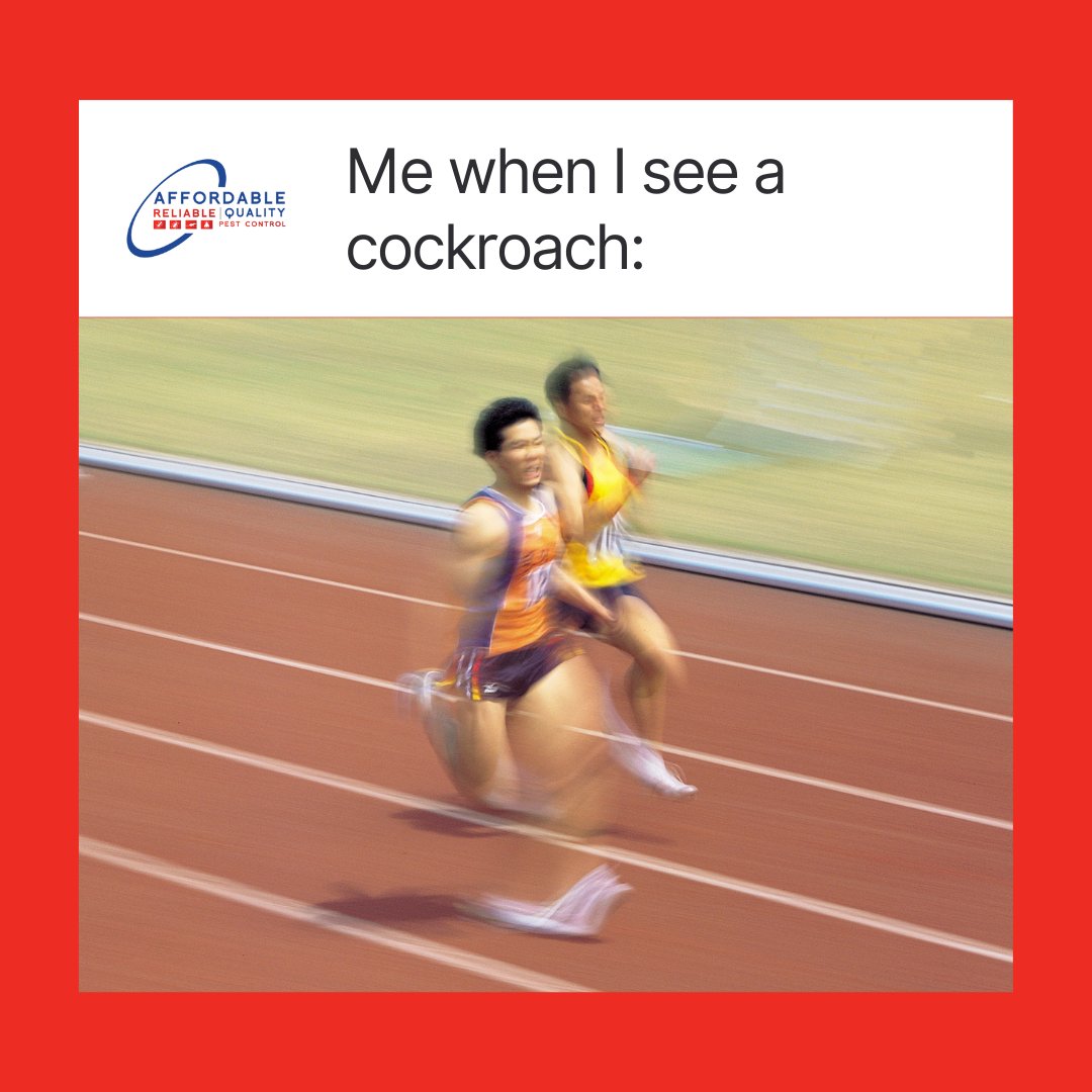 Happy #GlobalRunningDay! If you find yourself constantly sprinting at the sight of a cockroach, it might be time to give us a call!
