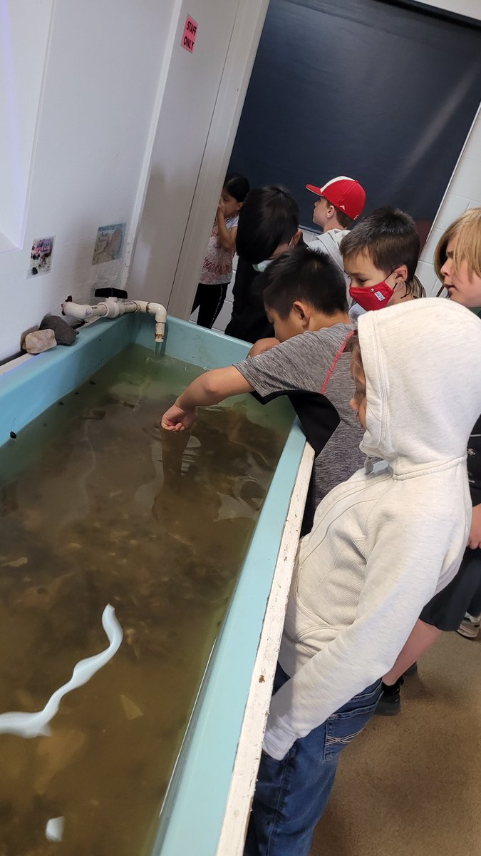 Such a great time at Cedar Beach today! The best part was hearing a learner say "adaptationces" and see her face light up because she understood what the tour guide was saying! Field trips like these let's learning come alive for our learners! So #mineolaproud of our bilinguals❤️