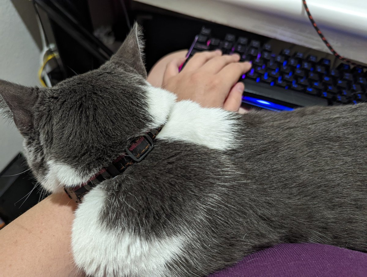 edits_audio's tweet photo. Another night editing with my kitty partner's assistance https://t.co/1kCbGNSmmr
