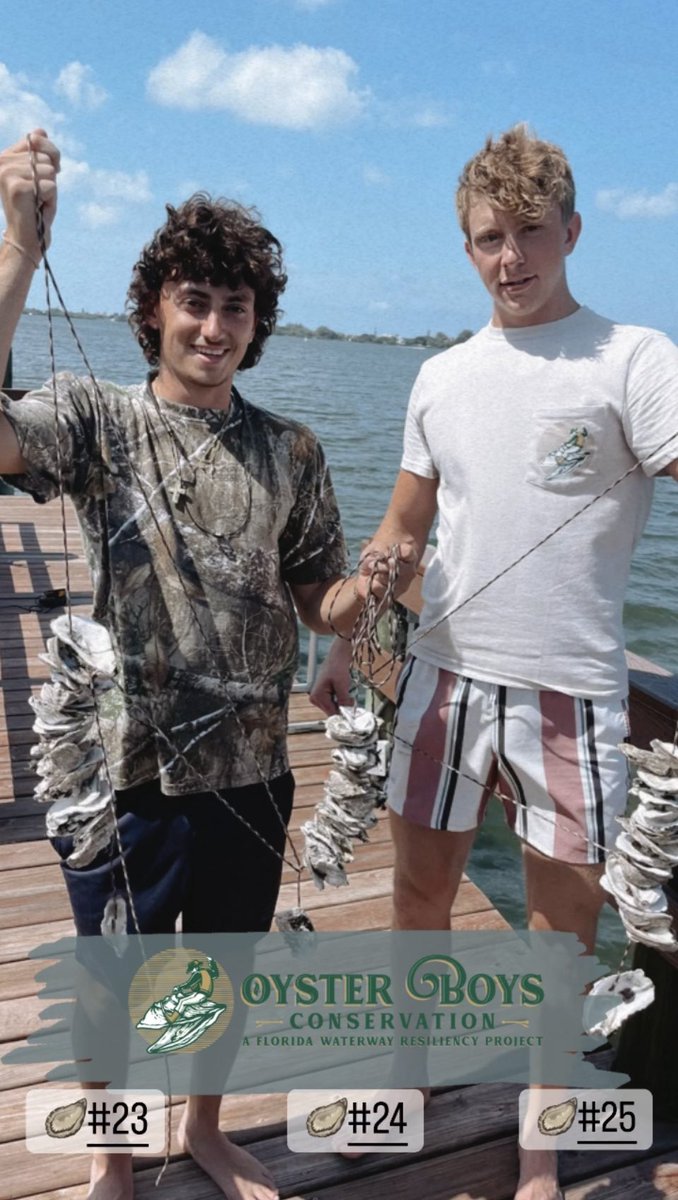 25 oyster gardens in the water!🪴🦪  

That’s = 6,250 Gallons of polluted bay water getting filtered once they’re grown #ProtectFL
