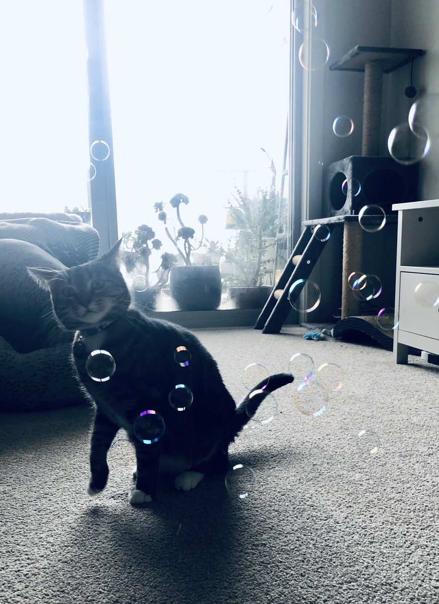 What’s this sorcery humom?