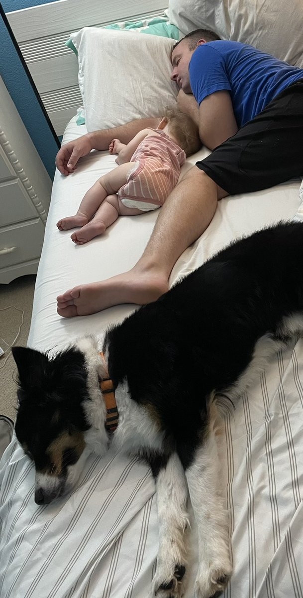 Daniel Farmer tweet media