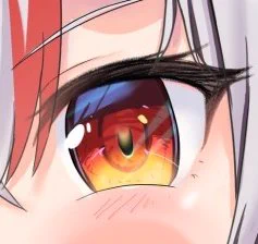 お目目 