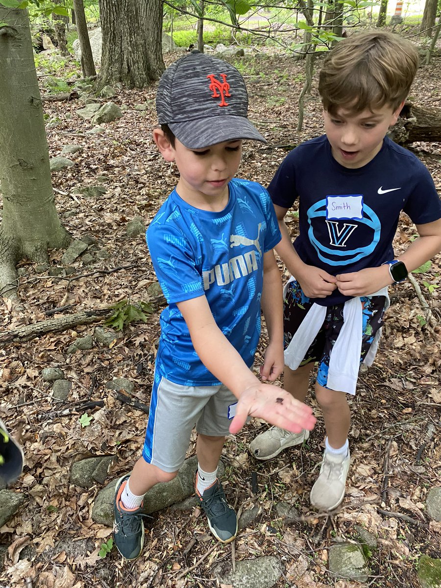 MsSangiorgi's tweet photo. Spiders, slugs, salamanders oh my! Perfect day at the Weis Ecology Center exploring nature! @WPSCoolidge https://t.co/0FEE9i6SxE