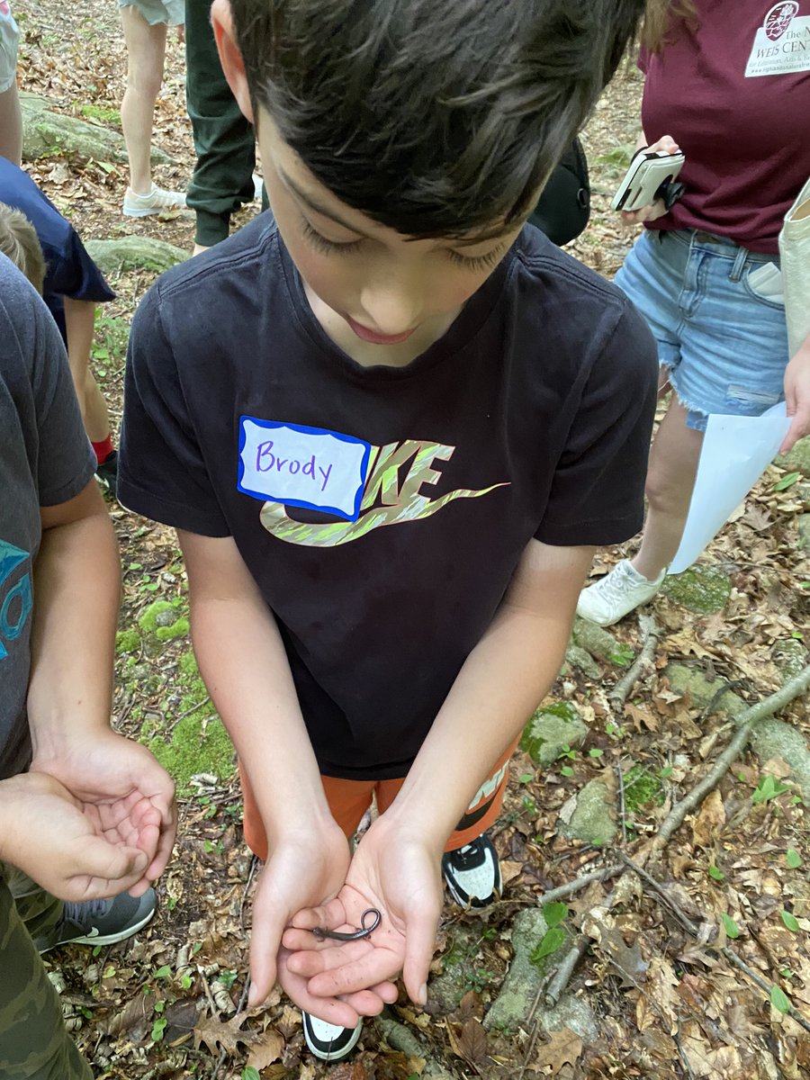 MsSangiorgi's tweet photo. Spiders, slugs, salamanders oh my! Perfect day at the Weis Ecology Center exploring nature! @WPSCoolidge https://t.co/0FEE9i6SxE
