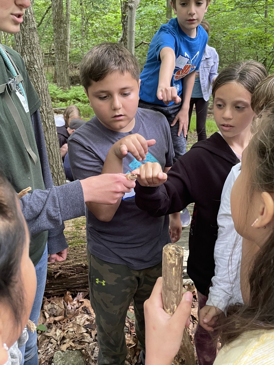 MsSangiorgi's tweet photo. Spiders, slugs, salamanders oh my! Perfect day at the Weis Ecology Center exploring nature! @WPSCoolidge https://t.co/0FEE9i6SxE