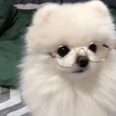 im0_yz's tweet photo. #新しいプロフィール画像

なんかめっちゃリアに似てて可愛すぎて変えた🥹 https://t.co/ApHb18D89b